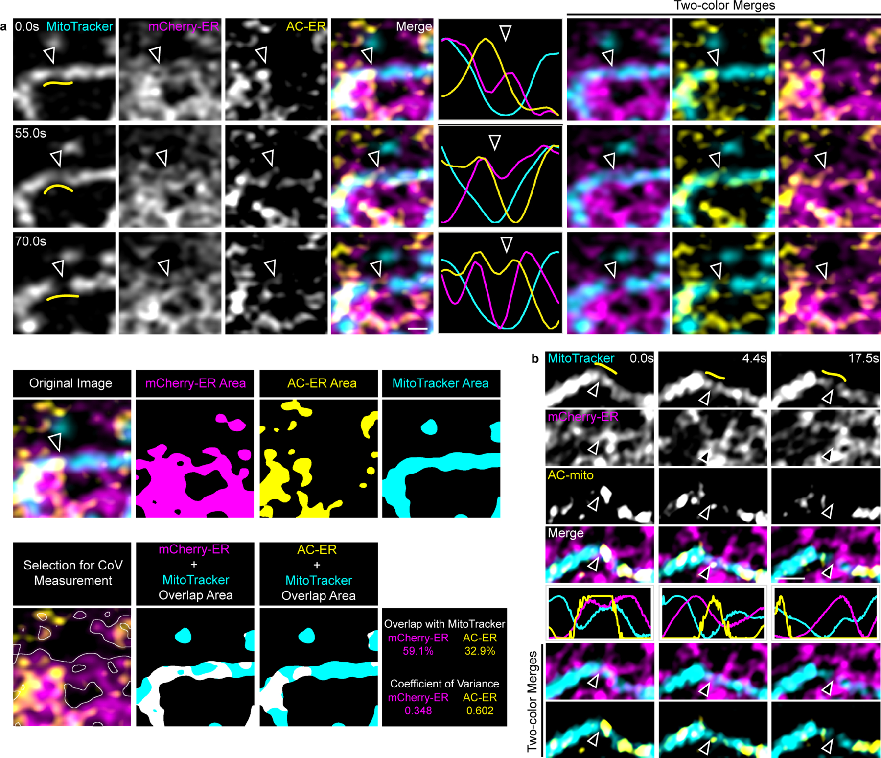 Extended Data Figure 10: