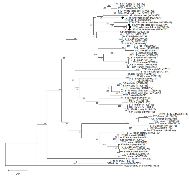 Figure 2