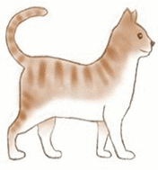 graphic file with name 41598_2021_96903_Figd_HTML.gif