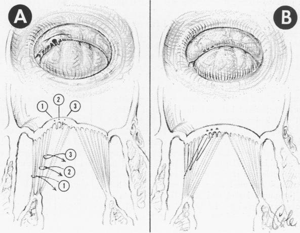 Fig. 10 (Case 8).