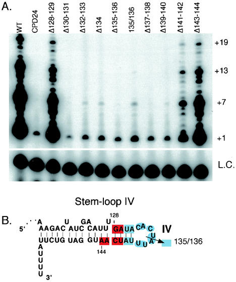 FIG. 4.