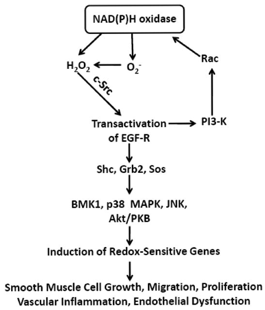 Fig.2