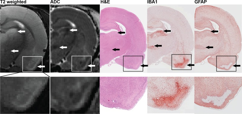 FIG. 5