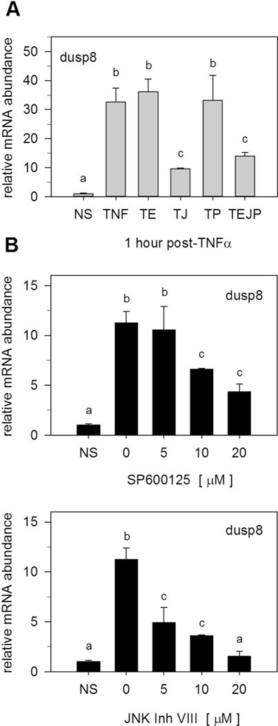 Fig. 8.