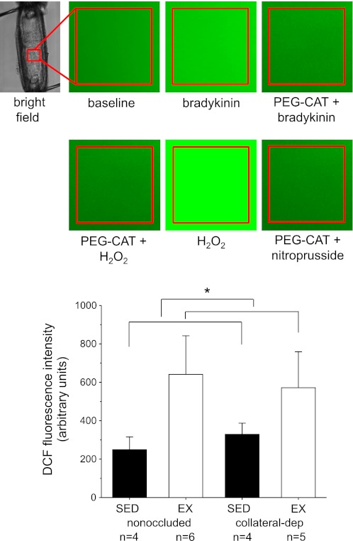 Fig. 6.