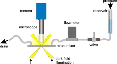 Fig. 8