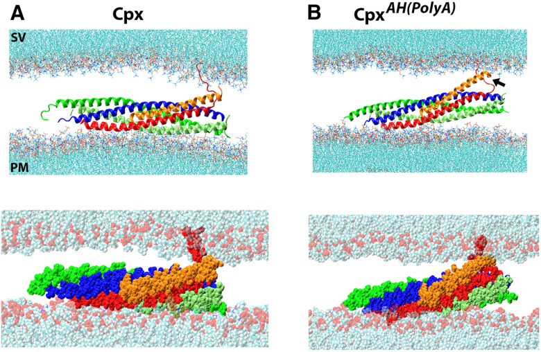 Figure 4.