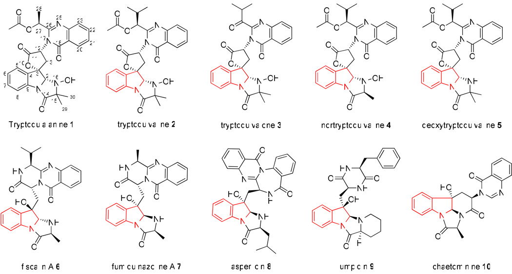 Scheme 1