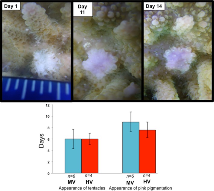 Fig. 4