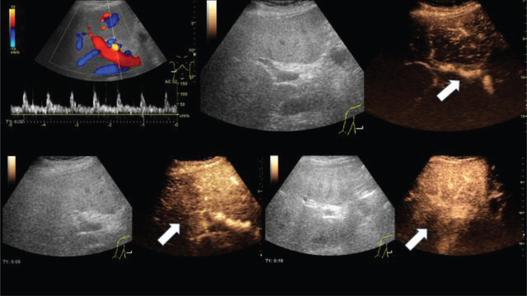 Fig. 7