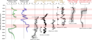 Tampolove tortoise and hippo collagen δ15N values plotted against time and relative to regional.