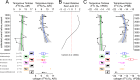 Tampolove animal collagen δ15N and δ13C value distributions and changes through time (A, C).