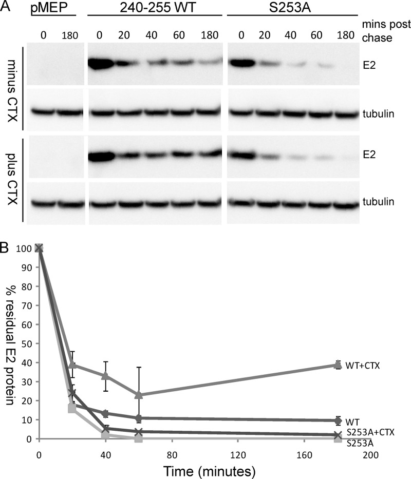 Fig 7