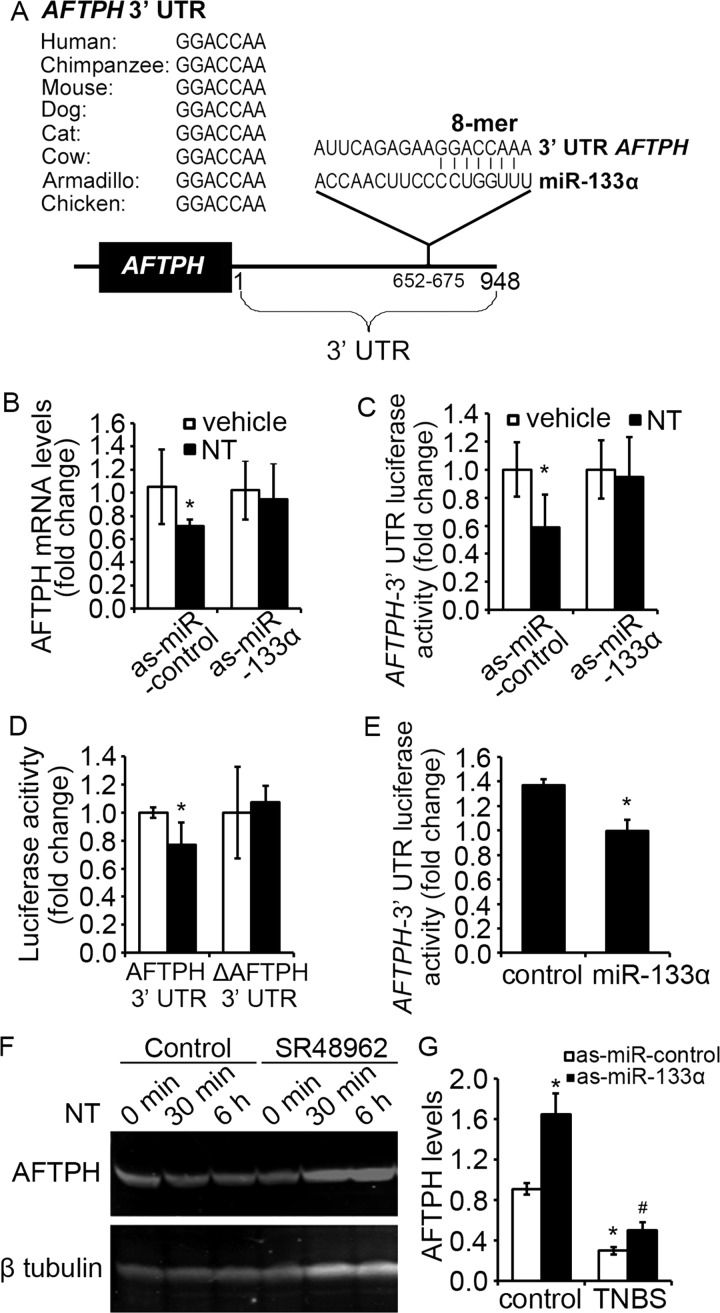 Figure 6