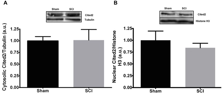 Fig 5