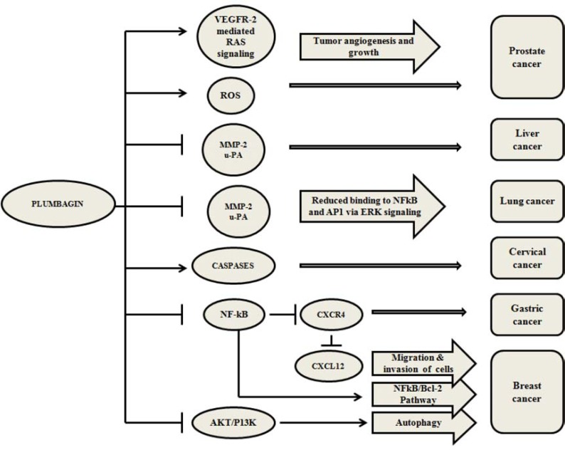 Fig. (7)