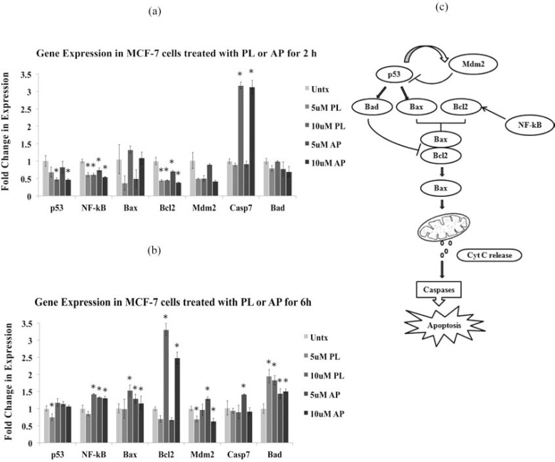 Fig. (6)