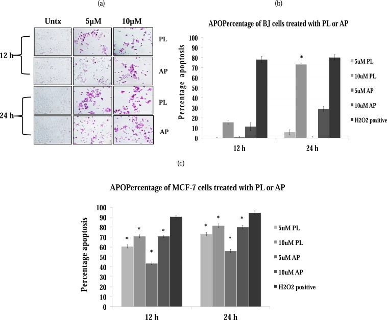 Fig. (3)