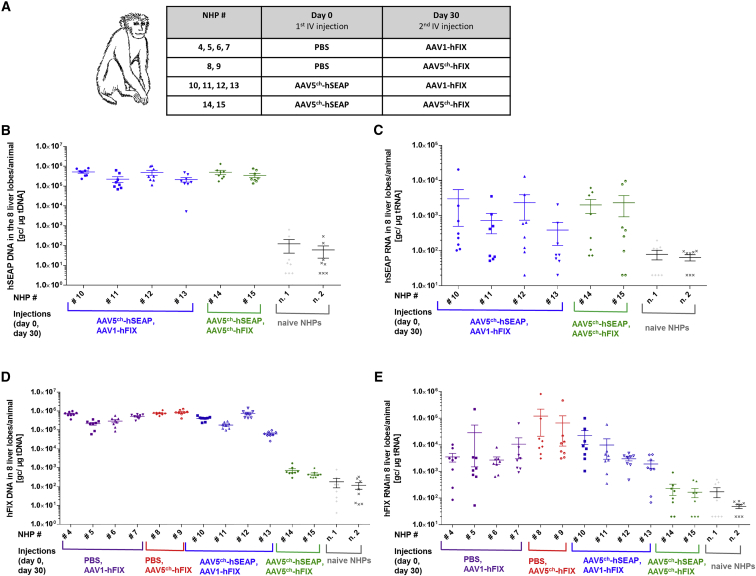 Figure 3