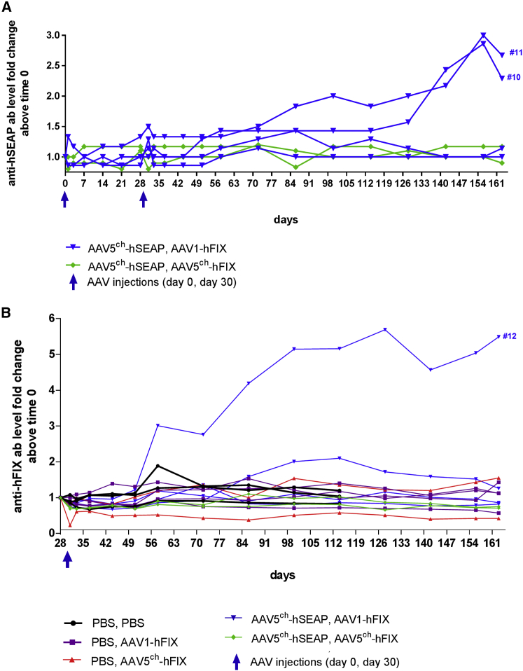 Figure 6