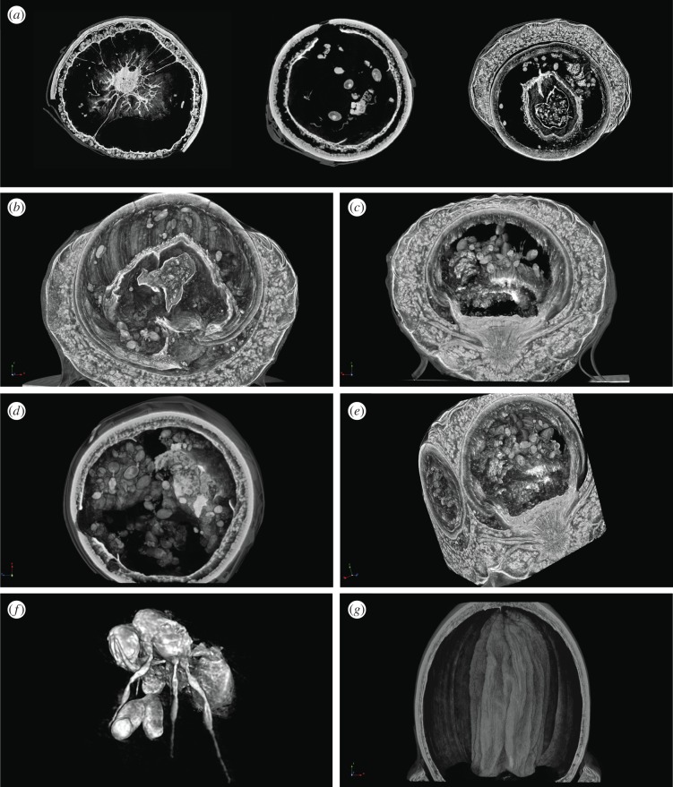 Figure 2.