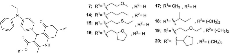 Fig. (23)