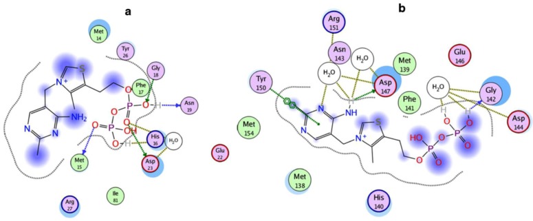 Fig. (14)