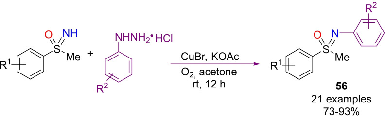 Scheme 51