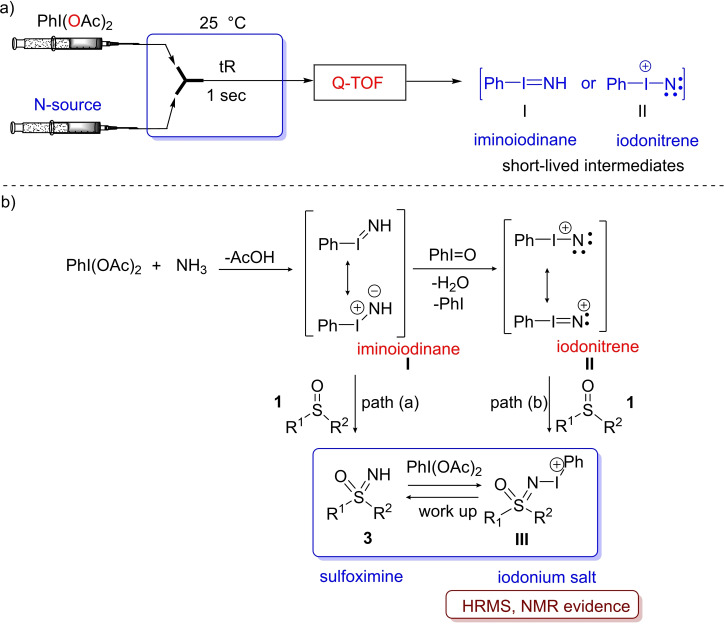 Scheme 7