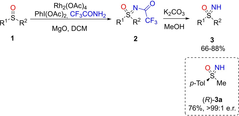 Scheme 2