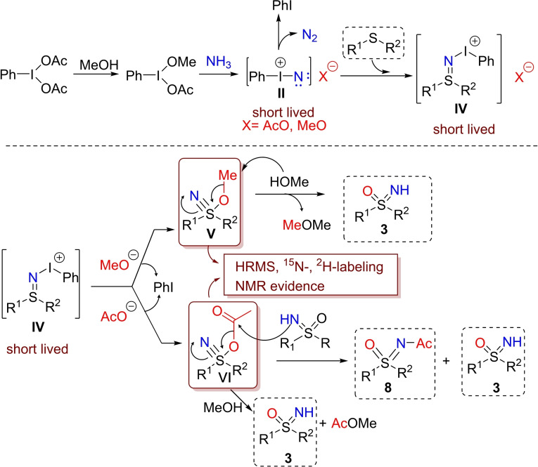 Scheme 10