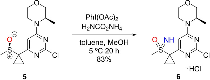 Scheme 8