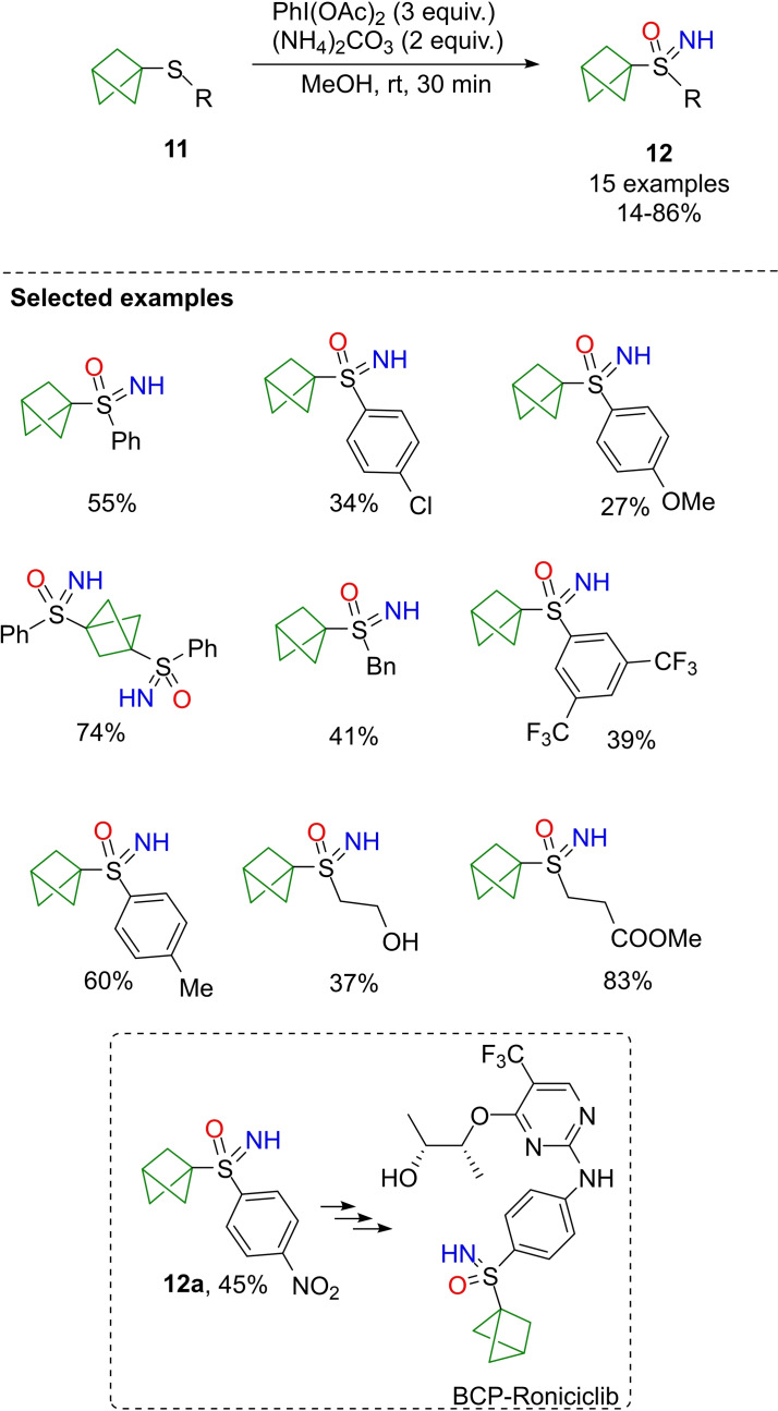 Scheme 16