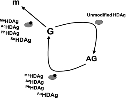 FIG. 9.