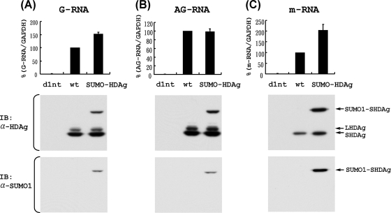 FIG. 8.