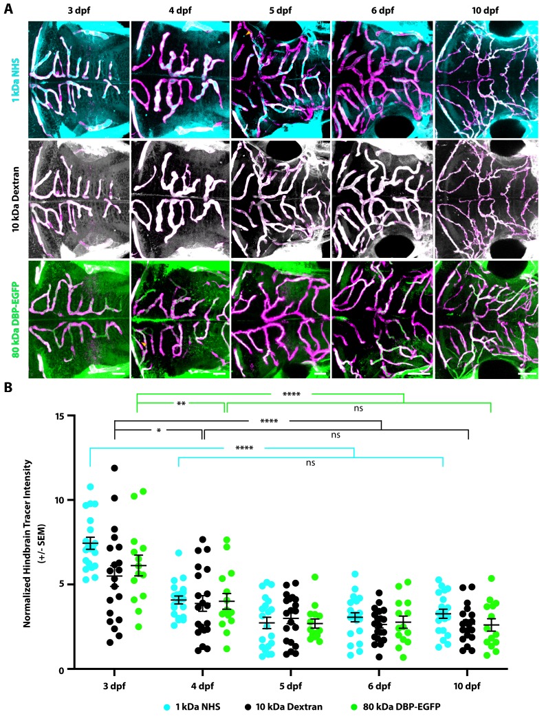 Figure 1—figure supplement 1.