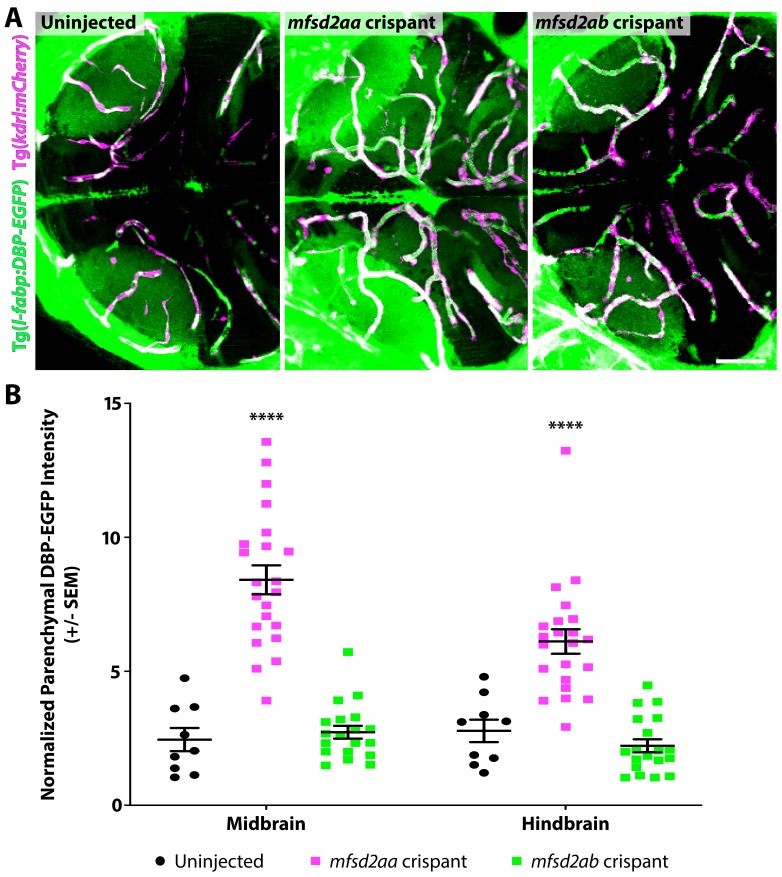 Figure 5—figure supplement 2.