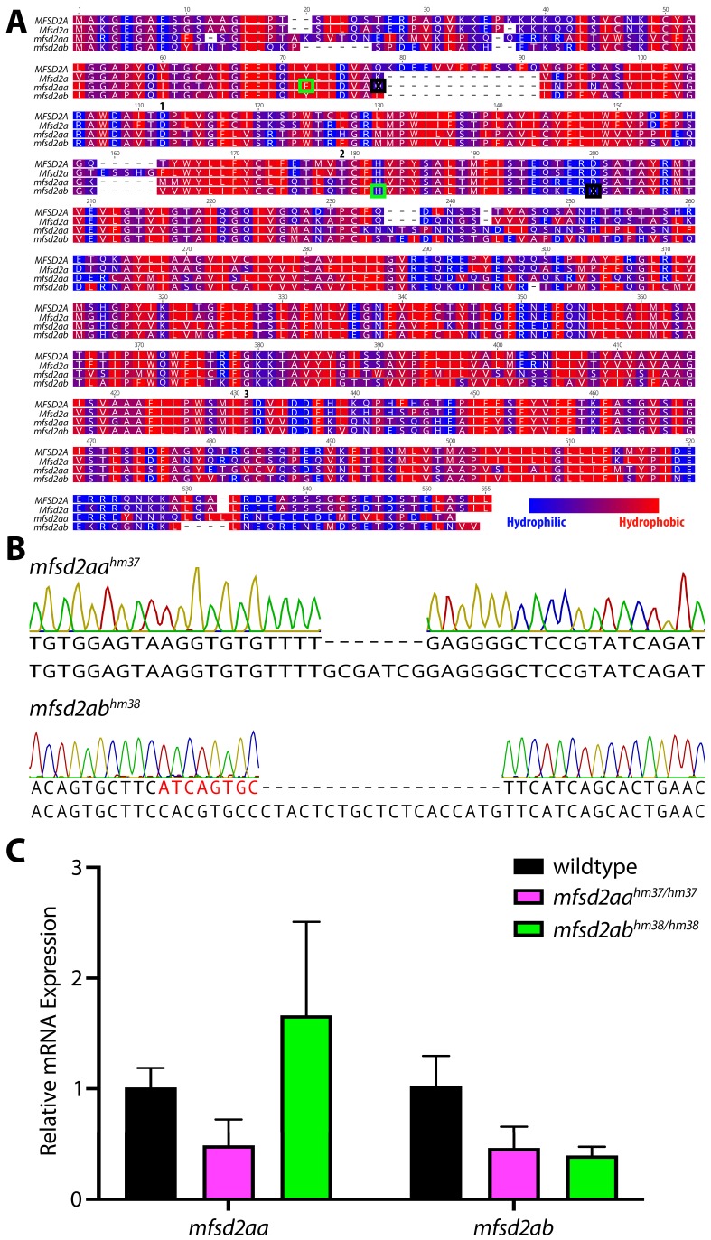 Figure 4—figure supplement 2.