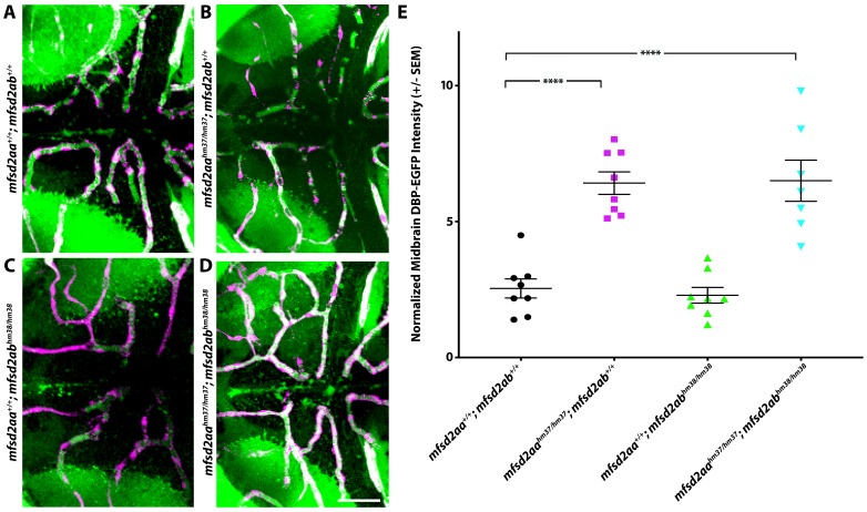 Figure 5—figure supplement 3.