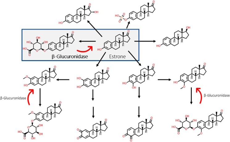 Figure 7.