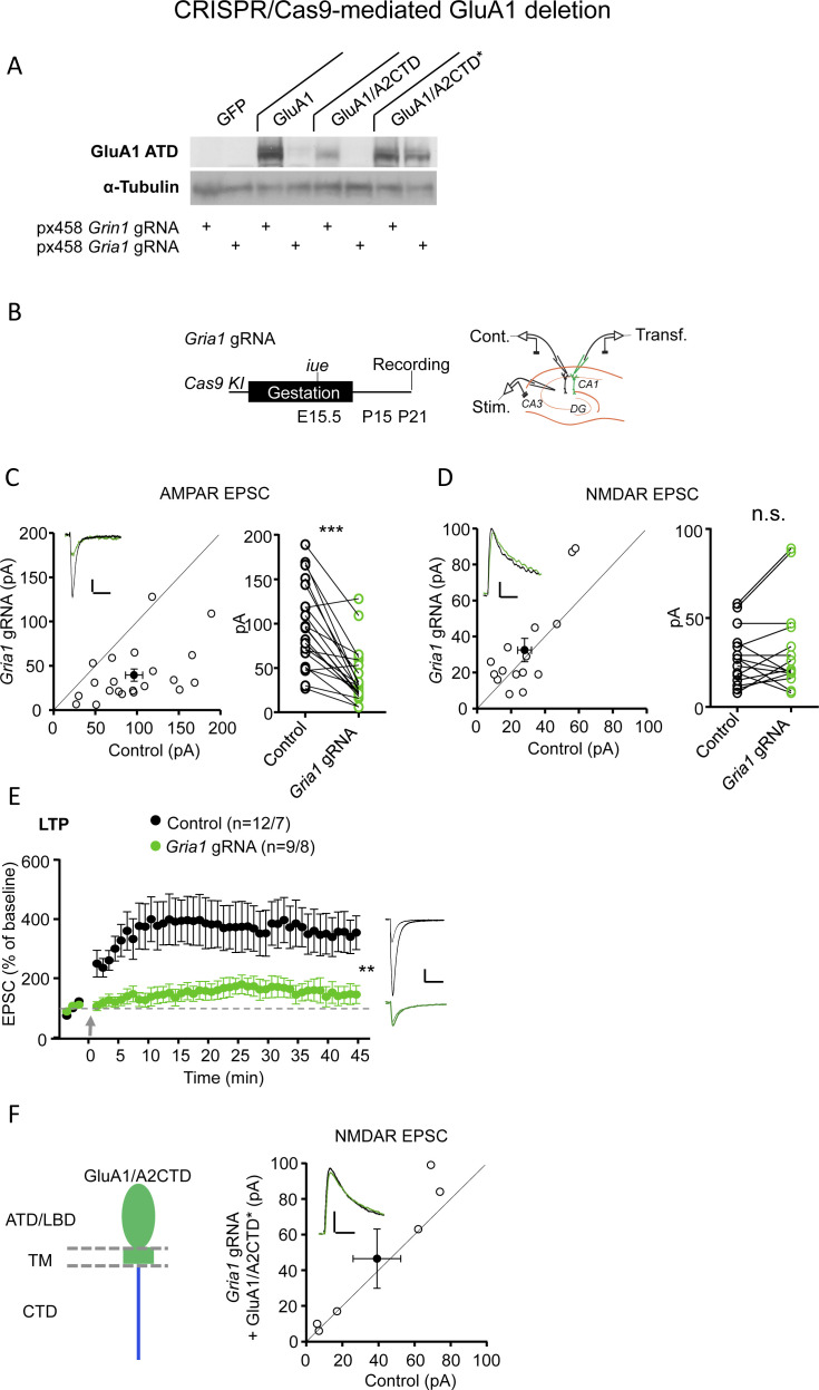 Figure 1—figure supplement 3.