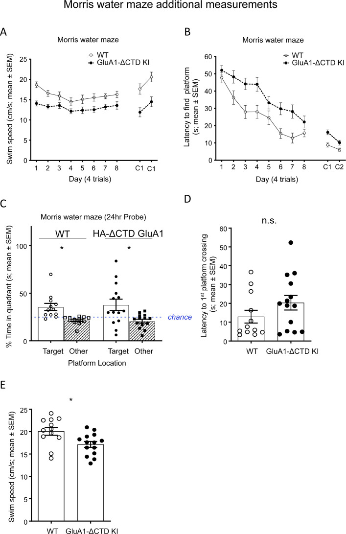 Figure 3—figure supplement 1.