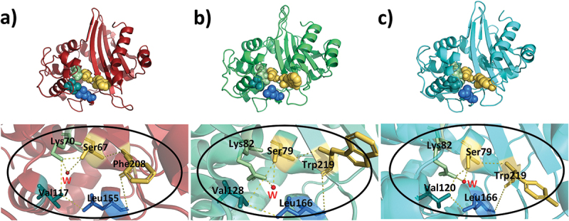 Figure 4.