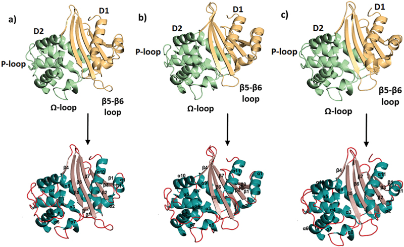 Figure 2.