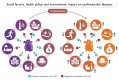 Graphical Abstract
