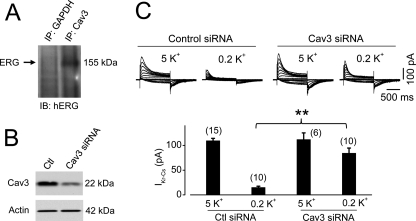 FIGURE 9.