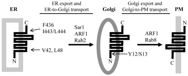 FIGURE 3