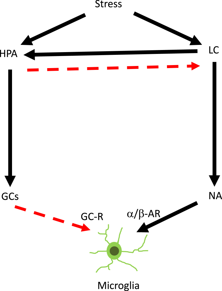 Fig. 3