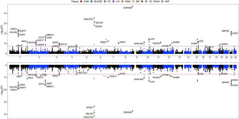 Figure 2.