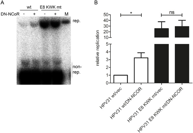 Fig 13